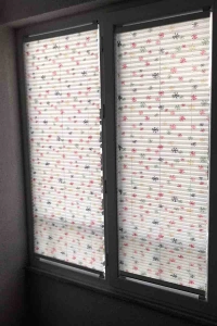 Printed Pleat Curtain