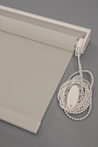 Ecru Matte Roller Blinds 