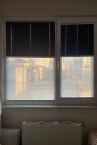 Full Blackout & Tulle Night-Day Pleated Curtain