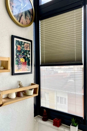 Yarı Karartma & Tül Gece-Gündüz Plise Perde