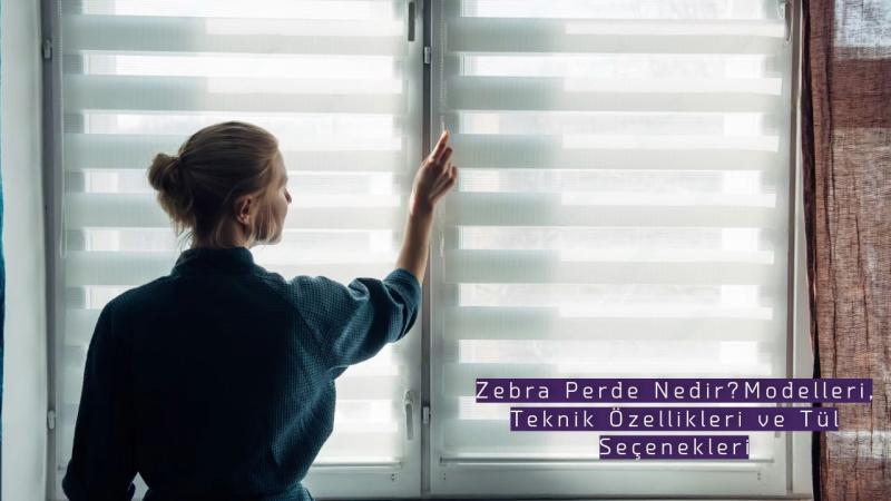 What is a Zebra Blind? Models, Technical Specifications and Sheer Options